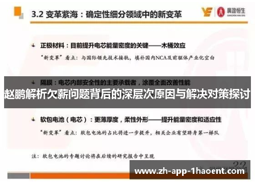赵鹏解析欠薪问题背后的深层次原因与解决对策探讨