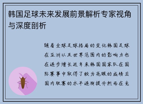 韩国足球未来发展前景解析专家视角与深度剖析