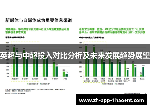 英超与中超投入对比分析及未来发展趋势展望 英超与中超投入对比分析及未来发展趋势展望